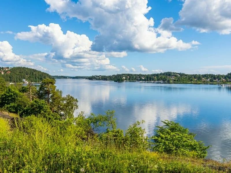 丹德吕德埃兹维肯大巴