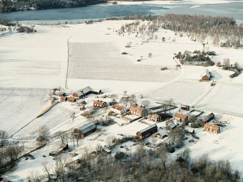 埃克勒比耶克岛比尔卡大巴