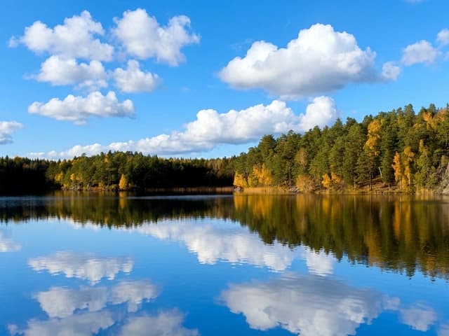 Hyra buss vid Gömmaren i Huddinge