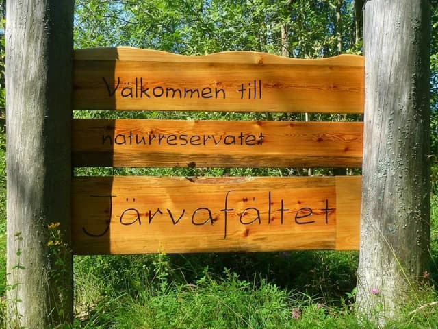 Hire a coach to Järvafältet nature reserve for school outings in Sollentuna.