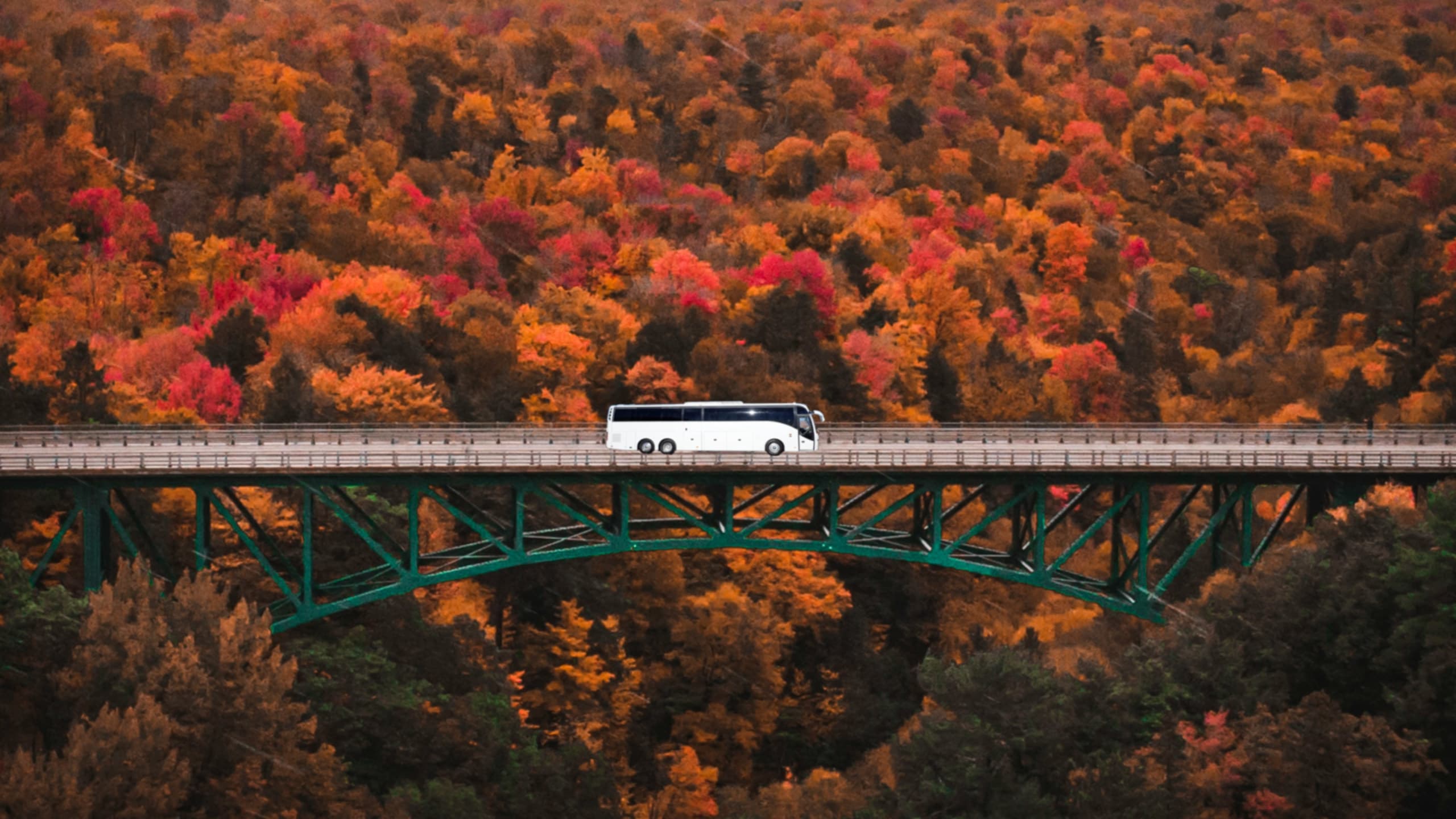 bridge