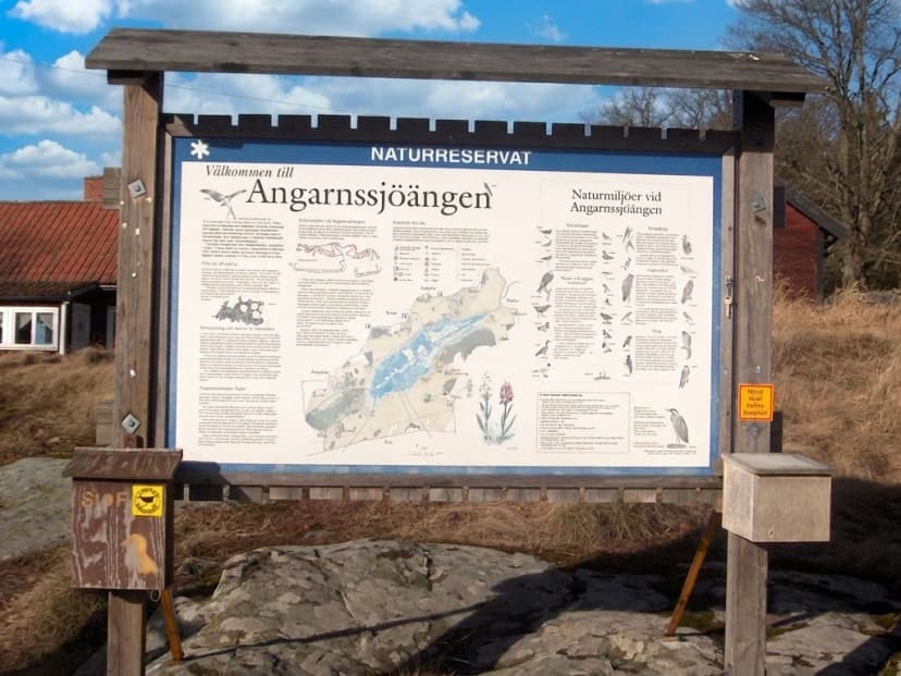 Hyra buss till Angarnsjöängens naturreservat