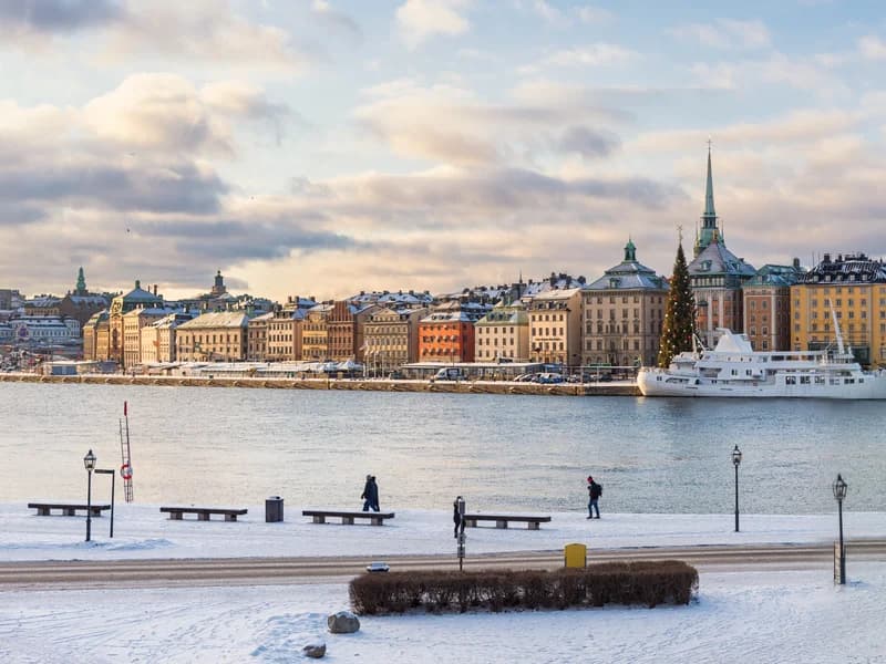 Buss för kryssningspassagerare Gamla Stan Stockholm – privat charter från piren